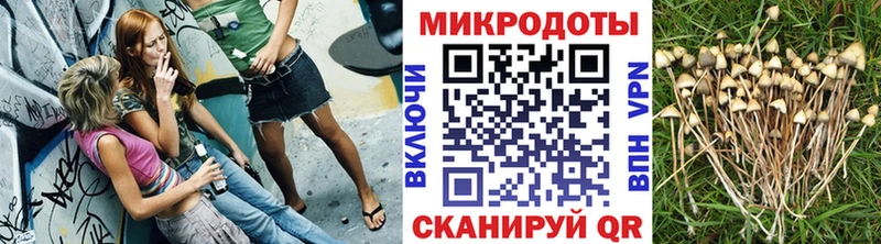 Галлюциногенные грибы GOLDEN TEACHER  Зея 